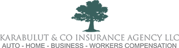 Karabulut and Co Insurance Agency LLC